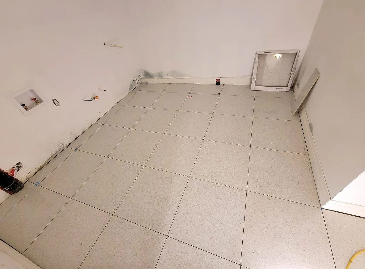 Mold Remediation — Residential — Philadelphia Metro Area